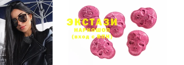 хмурый Бикин