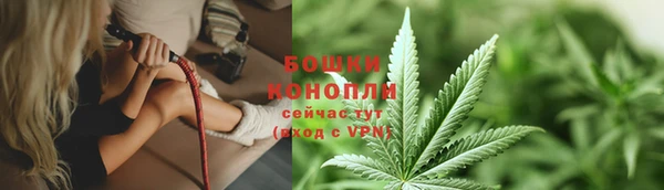 индика Володарск