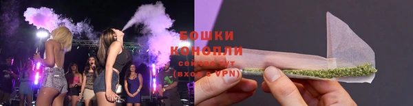 индика Володарск