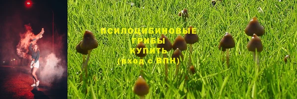 МДПВ Билибино