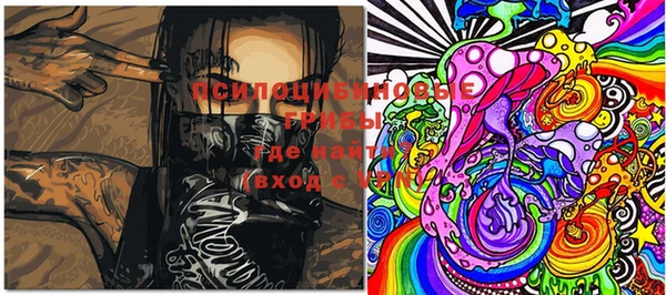 трава Новодвинск