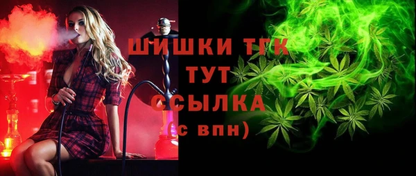 трава Новодвинск