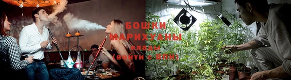 спайс Нея