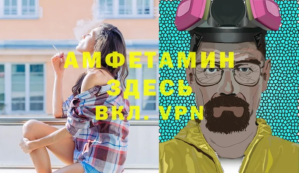 хмурый Бикин